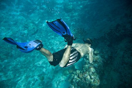 男子浮潜库拉索安的列斯高清图片