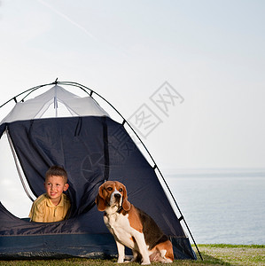 男孩和狗在海边的帐篷里动物高清图片素材