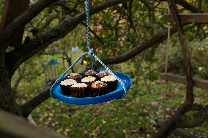 把纸杯蛋糕吊到树屋图片
