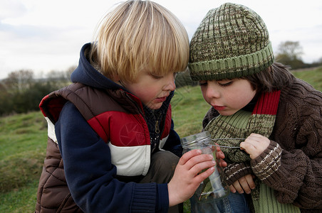 英语4级小男孩在检查罐子里面的昆虫背景