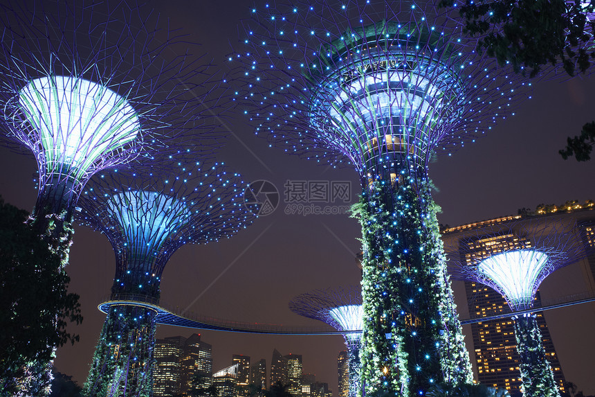 新加坡，夜晚海湾花园中的超级树小角度视图图片