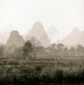 中国广西桂林喀斯特石灰岩山区的农田背景图片
