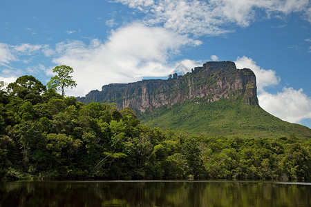 南美雨林卡尼马国家公园背景