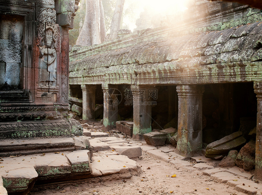 柬埔寨暹粒省吴哥窟塔普伦寺图片