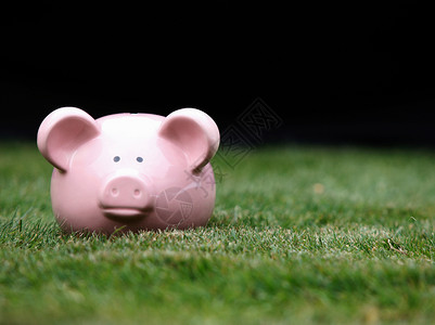 草地上的小猪存钱罐图片