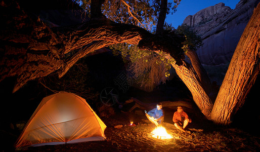 帐篷篝火弯曲的树下有灯光的露营地背景