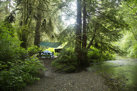雨篷美国加利福尼亚州红杉国家公园营地背景