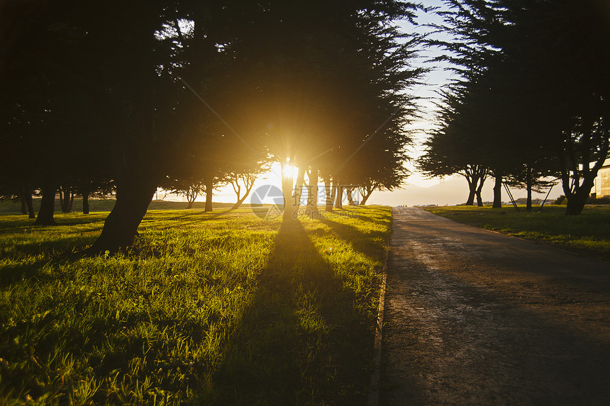 日落时的普雷西迪奥公园图片