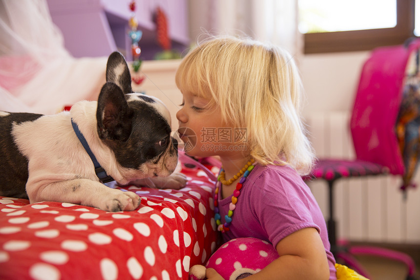 女幼童在卧室亲吻可爱的狗图片