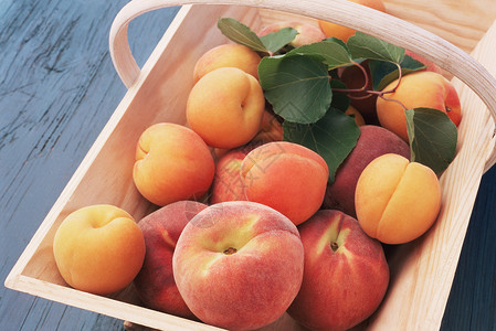 篮子里的桃子和杏子背景图片
