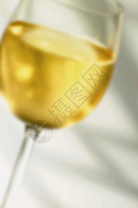 一杯白葡萄酒图片素材