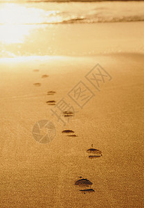 沙地上的脚印背景图片