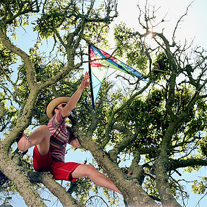 年轻人从树上营救风筝图片