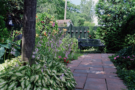 花园里的小路和长凳稠密高清图片素材