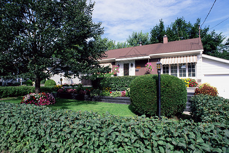 郊区的房子和花园白天高清图片素材