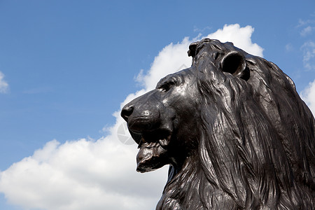 伦敦纳尔逊圆柱上的狮子雕像图片