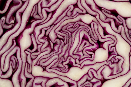 红卷心菜背景图片