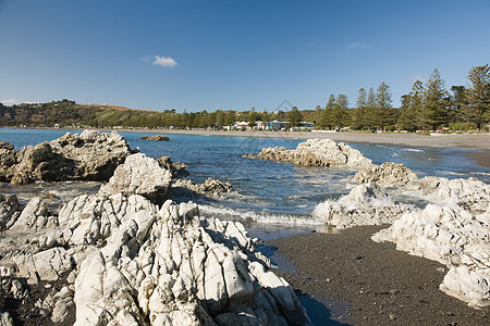 新西兰凯库拉海滩图片