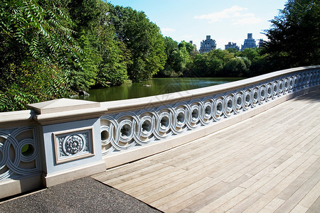 纽约博桥中央公园城市高清图片素材