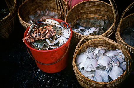 香港市场中的鱼图片