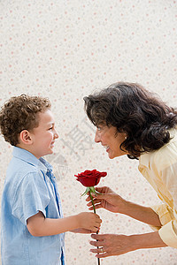 男孩把玫瑰送给祖母图片