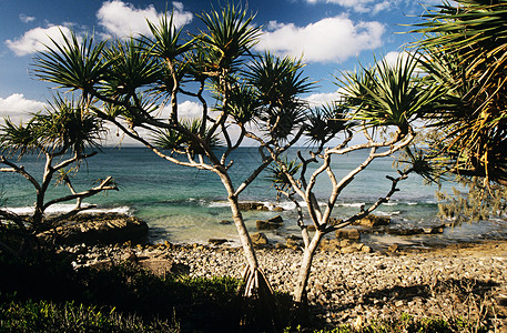 澳大利亚努萨海滩图片