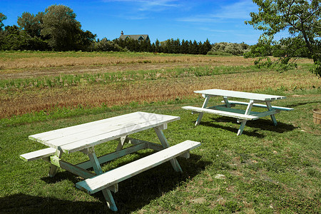 长岛蒙塔克一块地里的野餐桌图片