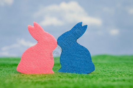两个兔子形状图片