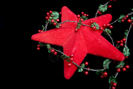 五角星和冬青树圣诞装饰背景图片