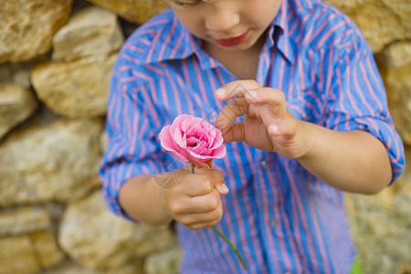 从花上摘花瓣的男孩图片