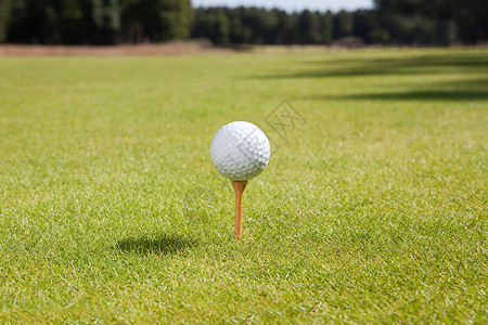 高尔夫球和球座图片