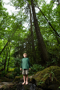 森林里的男孩图片