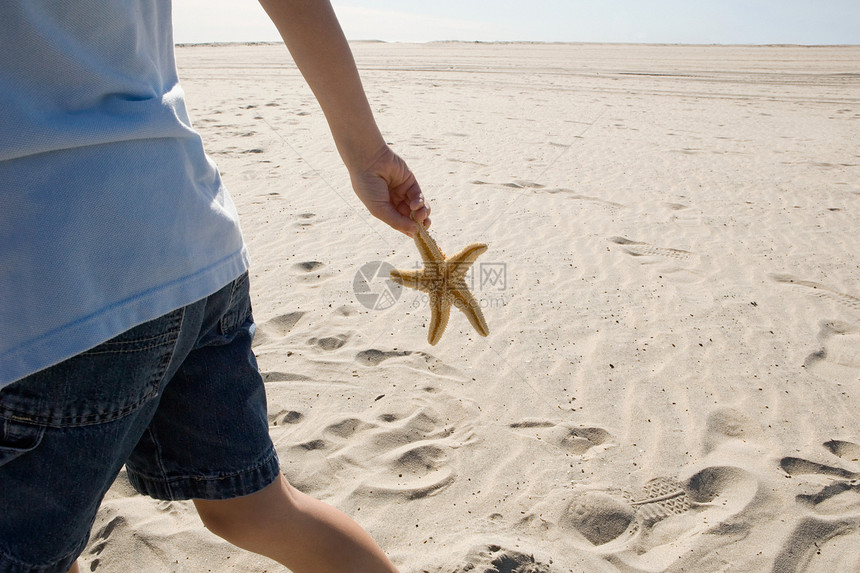 男孩抱着海星在沙滩上散步图片