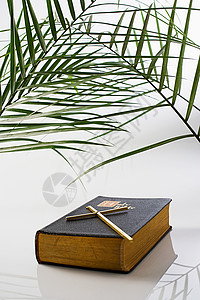 棕榈叶十字架和圣经背景图片