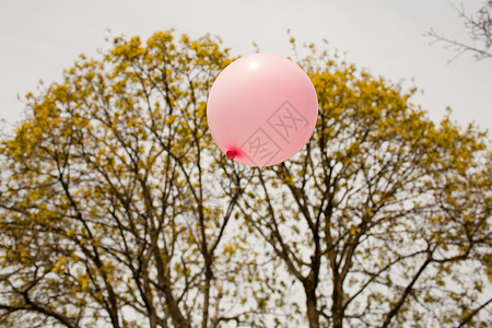 粉红色的气球飘向树图片