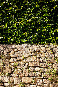 石墙和灌木在户外高清图片素材