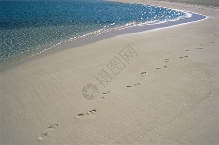 库克群岛海滩上的脚印背景