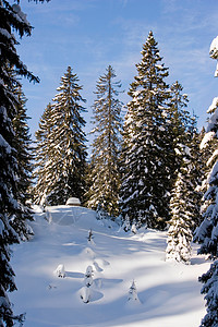 冬天的景色山高清图片素材