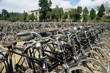 排列整齐的自行车图片