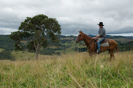 草原骑马的男士图片