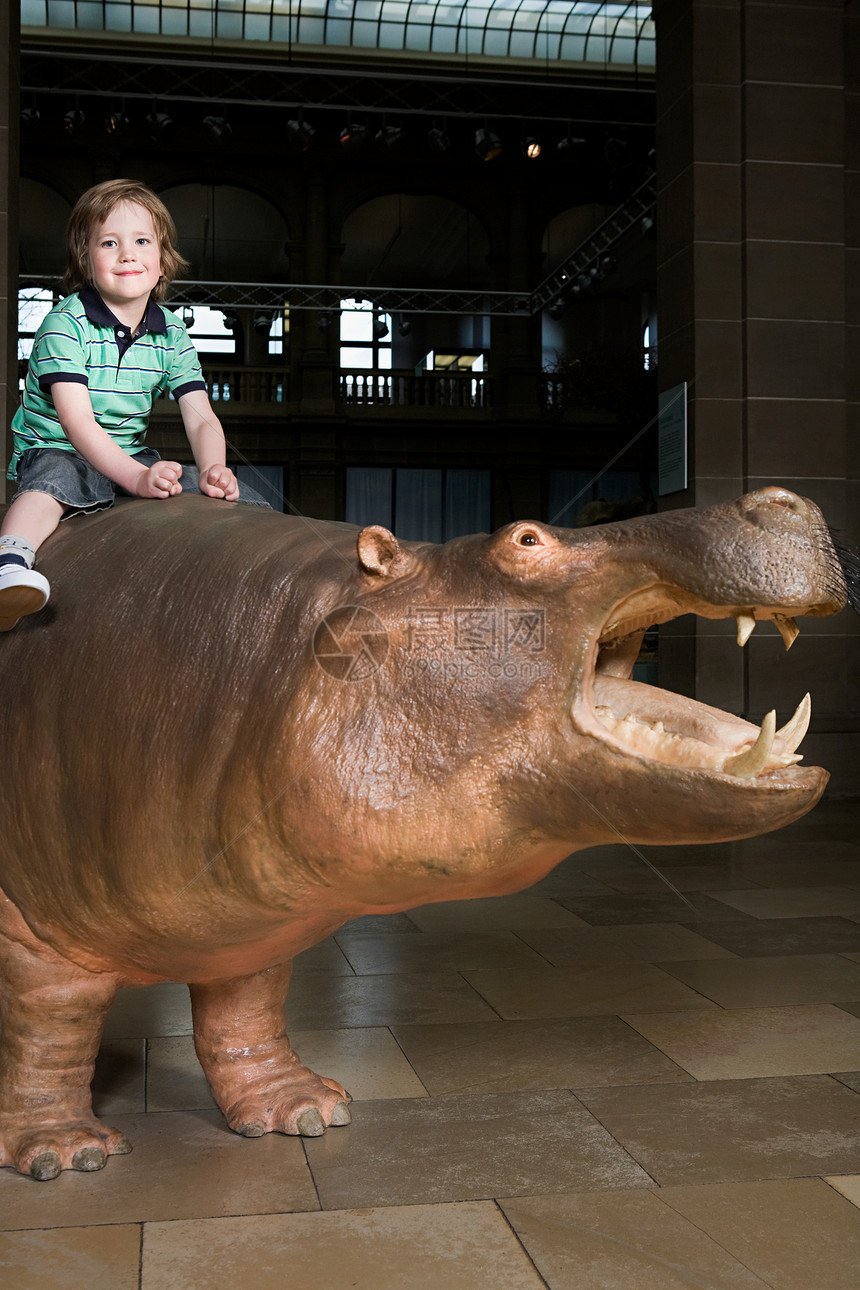 在博物馆里坐在犀牛上的男孩图片