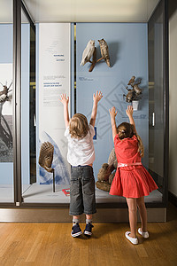 看博物馆展览的孩子们外国人高清图片素材