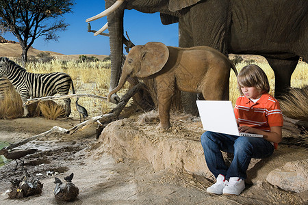 学习的大象男孩在博物馆里用笔记本电脑背景