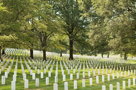 美国弗吉尼亚州阿灵顿国家公墓背景图片