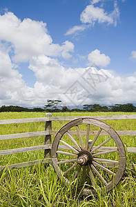 夏威夷考艾岛的木制车轮图片