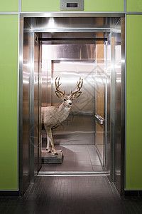 电梯里的雕塑背景图片