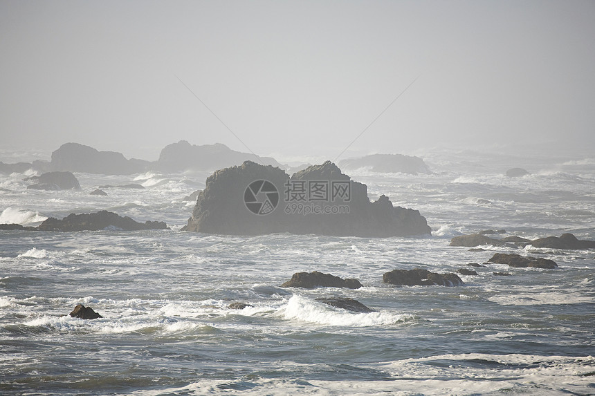 海豹岩上的海浪图片