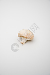 一个蘑菇白色背景高清图片素材