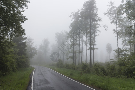 德国图林根森林之路背景