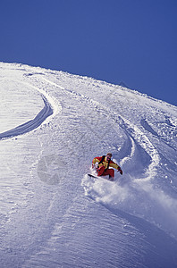 舒克山臂滑雪板图片